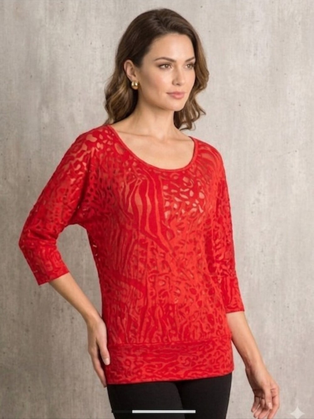 Ambiance Red Sheer Animal-Texture Scoop Neck Tunic Small